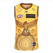 Maglia Hawthorn Hawks AFL 2023 Indigeno