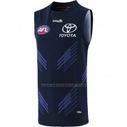 Maglia Adelaide Crows AFL 2023 Allenamento